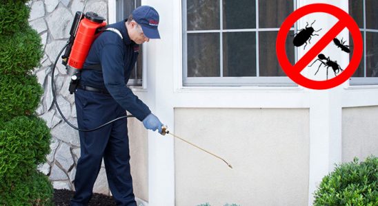Beyşehir Dezenfeksiyon böcek ilaçlama ve haşere kontrolü — ilaclama-tr.com